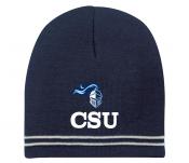 Spectator Beanie - Navy